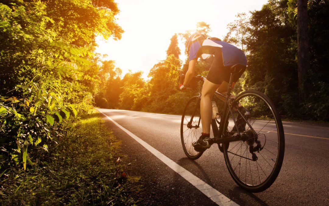 Ciclovia del Sole. Modena e la Bassa investano sulla bikeconomy